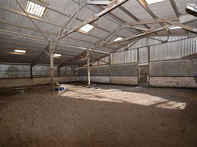 Picture 21